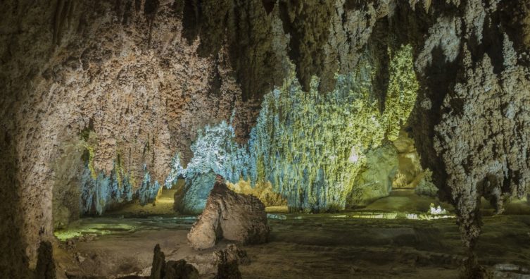 ▷ Cavernas de Carlsbad, Nuevo México - ExoViajes