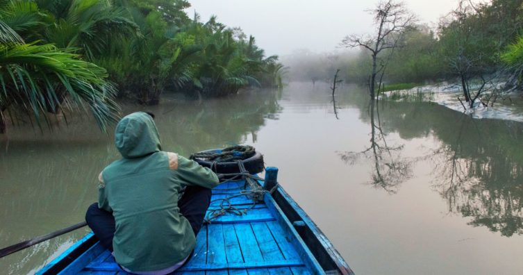 7 principales operadores turísticos y paquetes turísticos de Sundarban