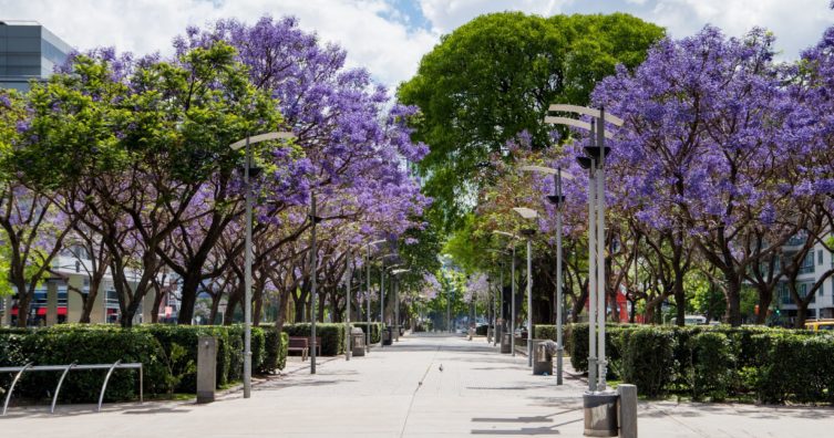 Clima en Buenos Aires: clima, estaciones y temperatura mensual promedio