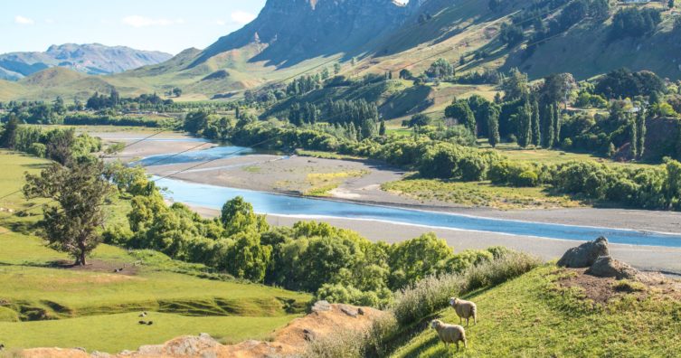Isla Norte de Nueva Zelanda o Isla Sur: ¿cuál debe visitar?