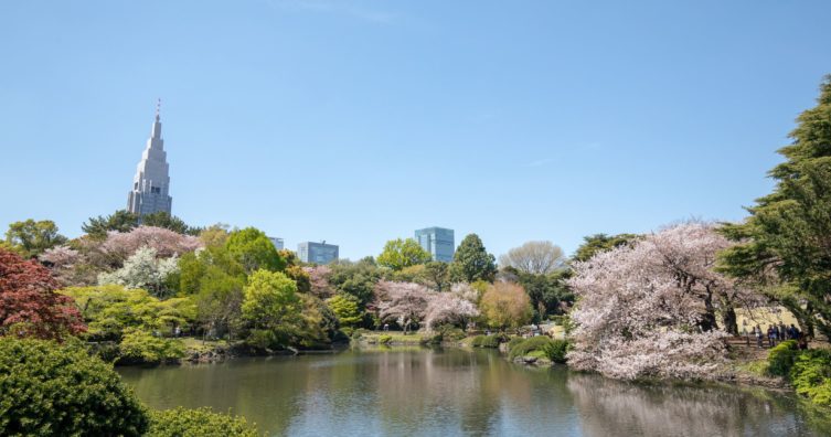 Los 10 mejores parques de Tokio