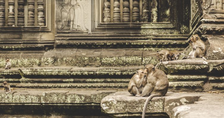 El mejor momento para visitar Angkor Wat