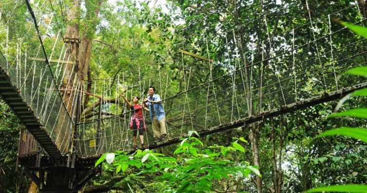 Encontrar diversión en las rutas de senderismo del Parque Nacional de Penang