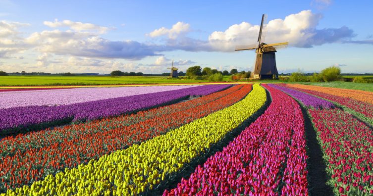 El mejor momento para visitar los Países Bajos